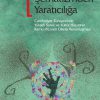 Şematizmden Yaratıcılığa