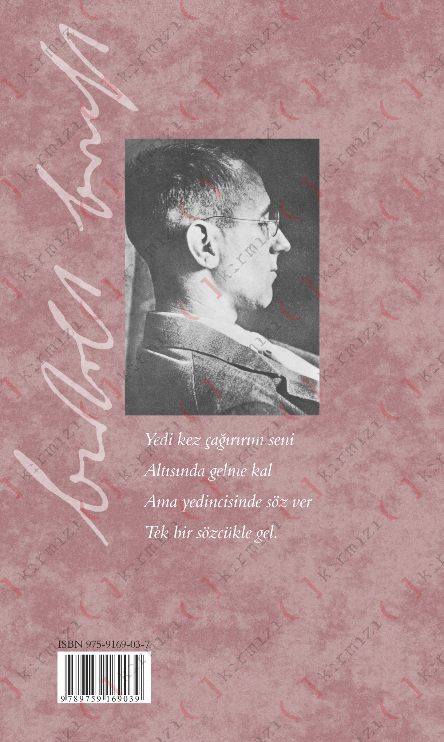 Aşk Şiirleri - Görsel 2