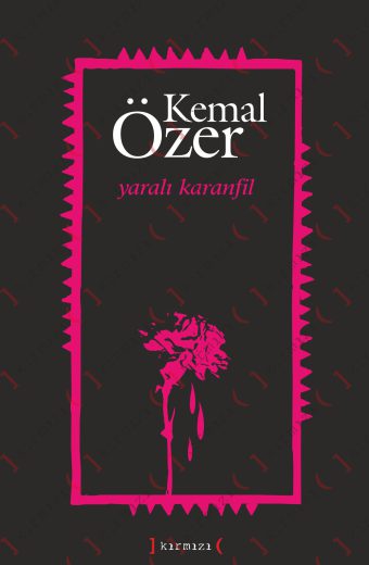 Yaralı Karanfil