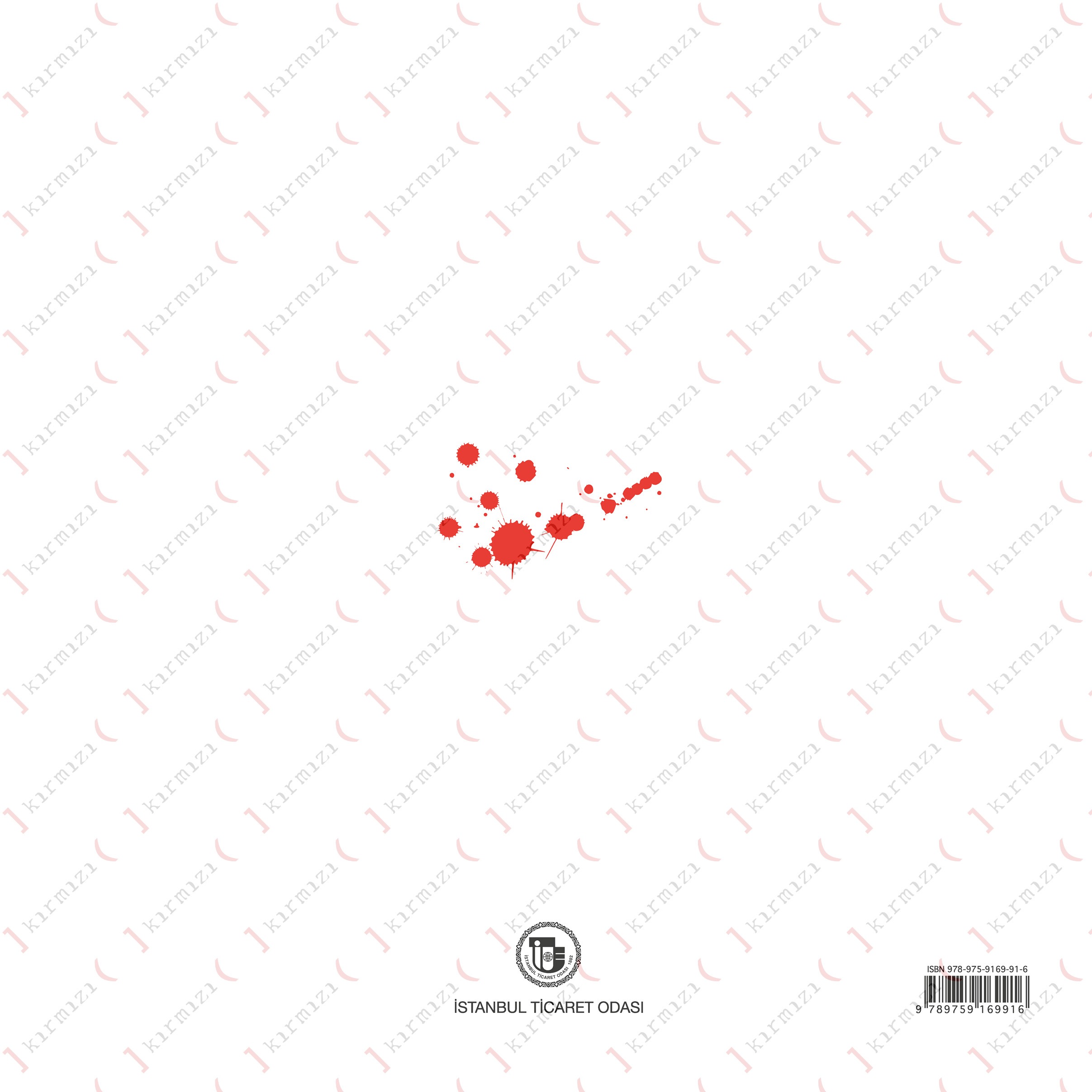 İstanbul’da Alınteri - Kapak Arka1