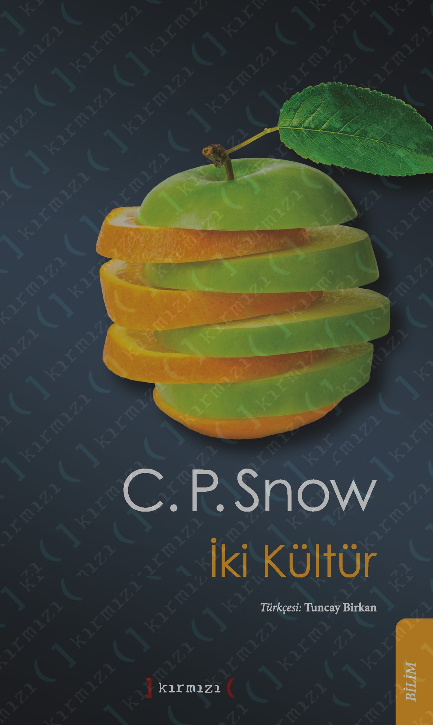 İki Kültür Kapak - Ön1